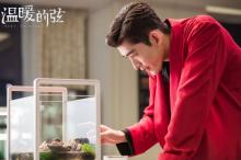 《温暖的弦》张翰剧照