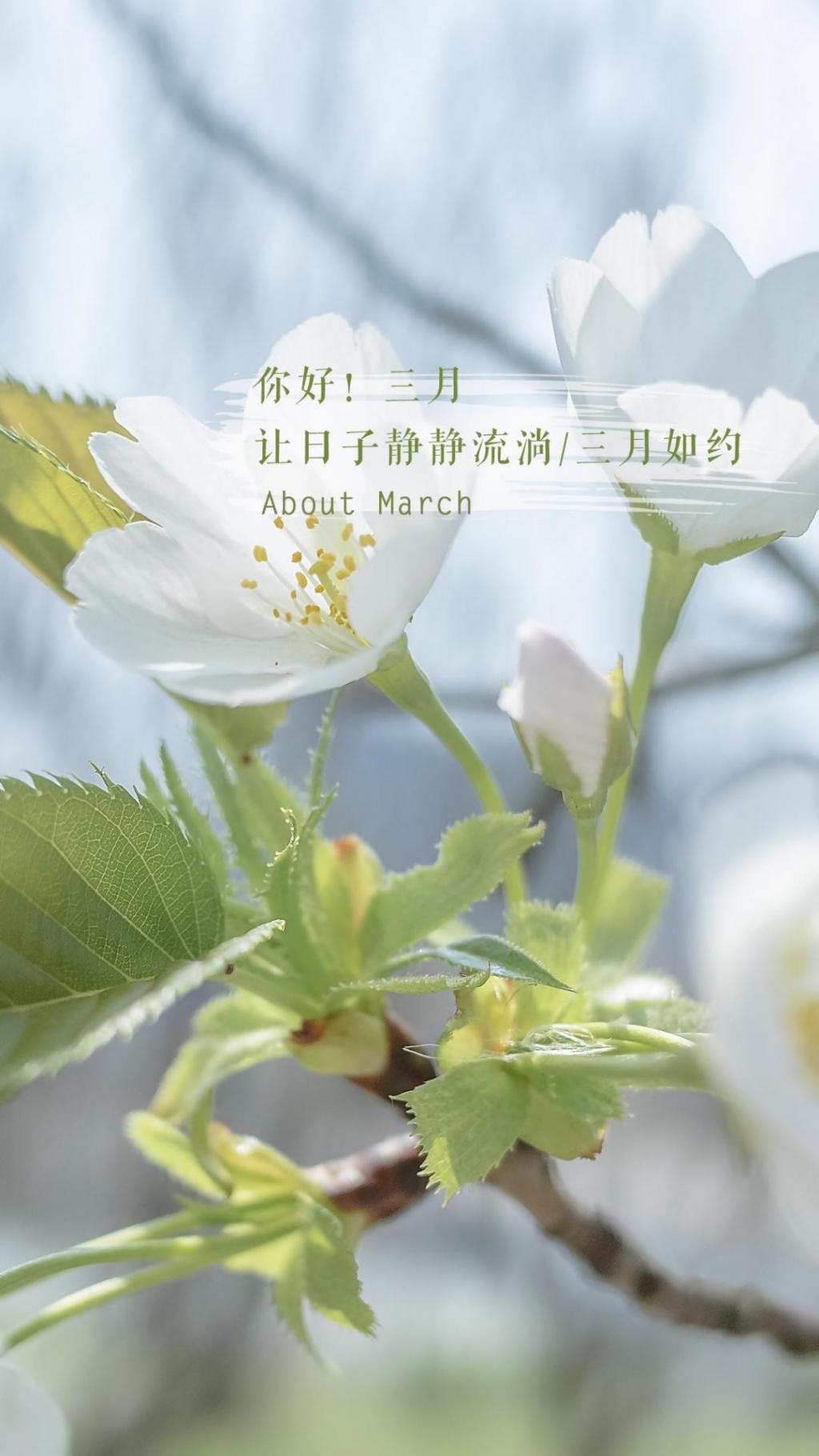 时光匆匆,三月如约