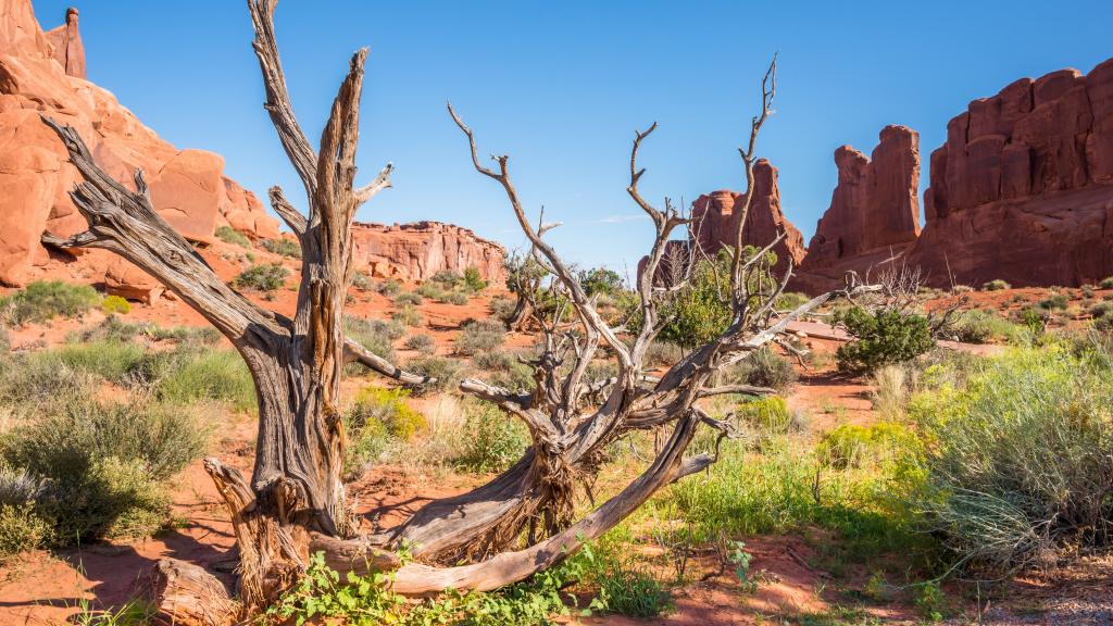 荒漠戈壁峡谷风景
