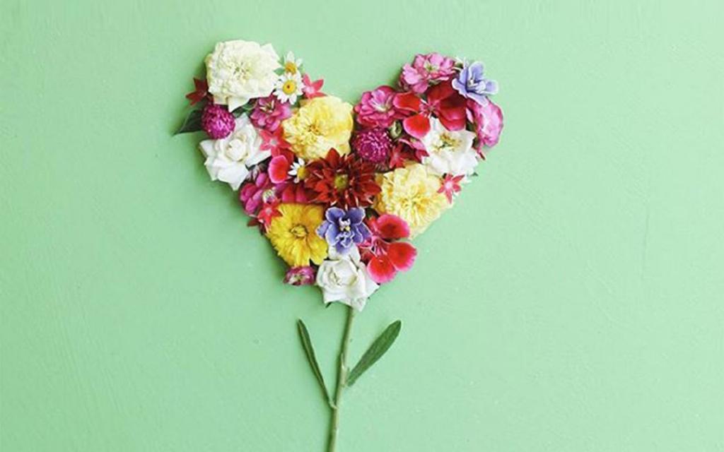 小清新绿色背景创意写真