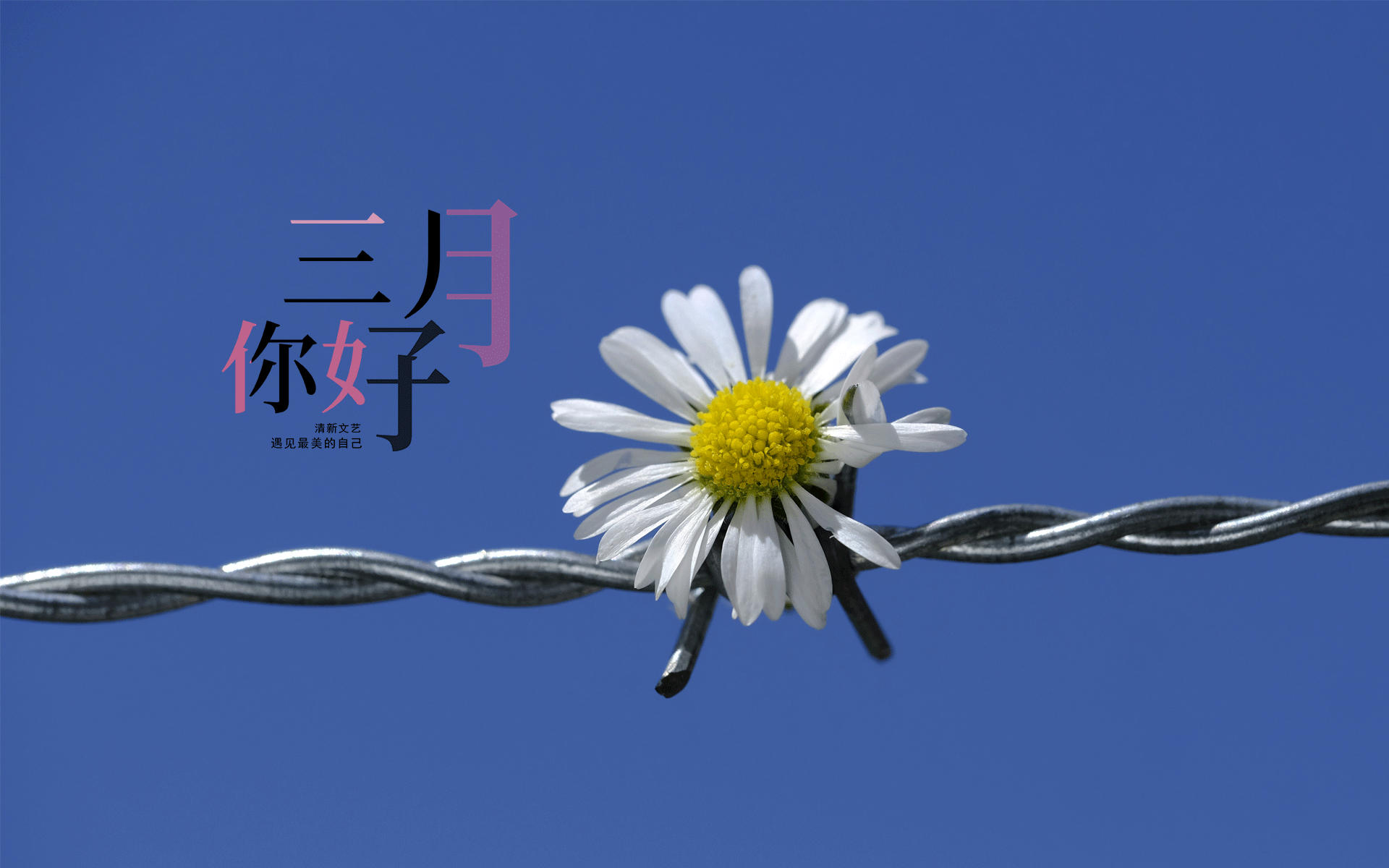 春天来到,三月你好