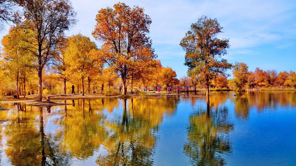 甘肃金塔胡杨林秋季风光