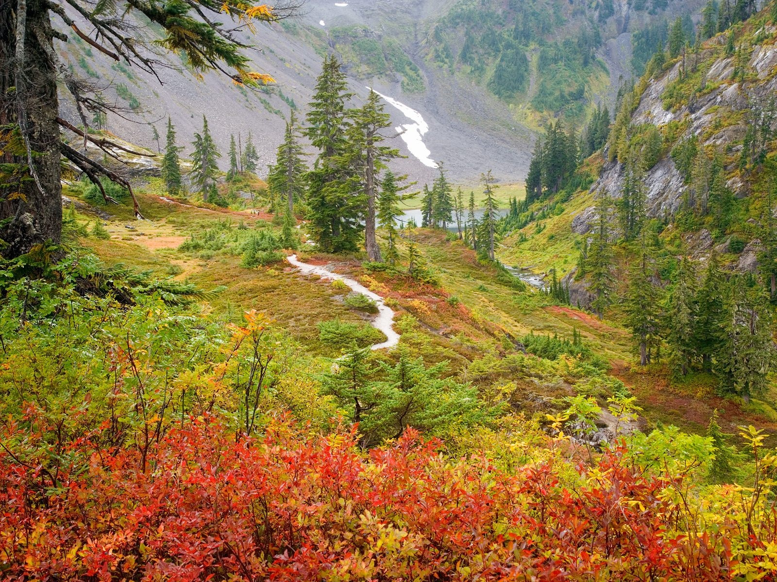 意境 > || 更新时间:2018-07-31 颜色分 银色 关键词:  山水如画 风景