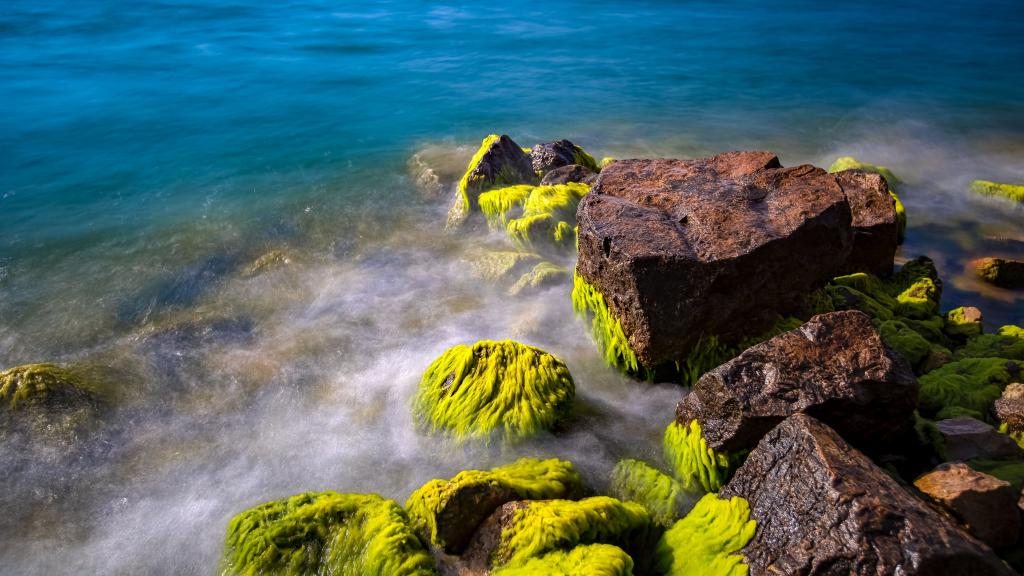 抚仙湖：触手可及的美