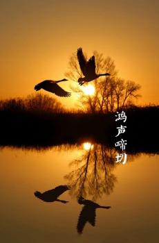 唯美二十四节气霜降文字-3