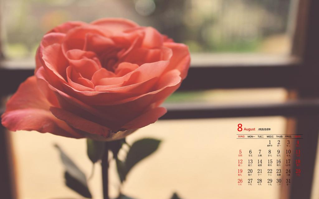 2018年8月唯美护眼的玫瑰花日历