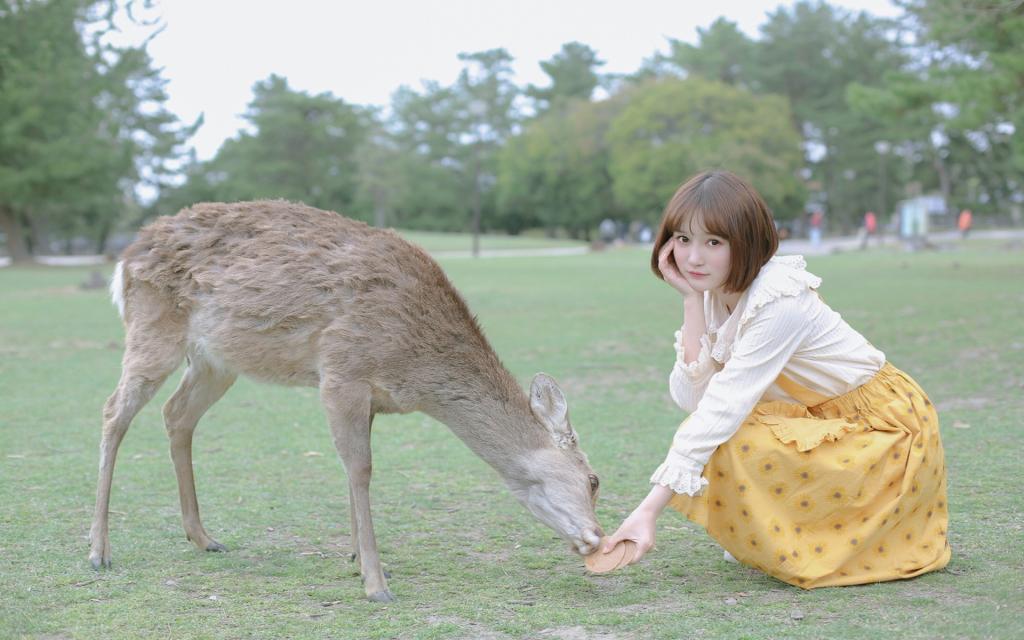 短发也叫初恋发