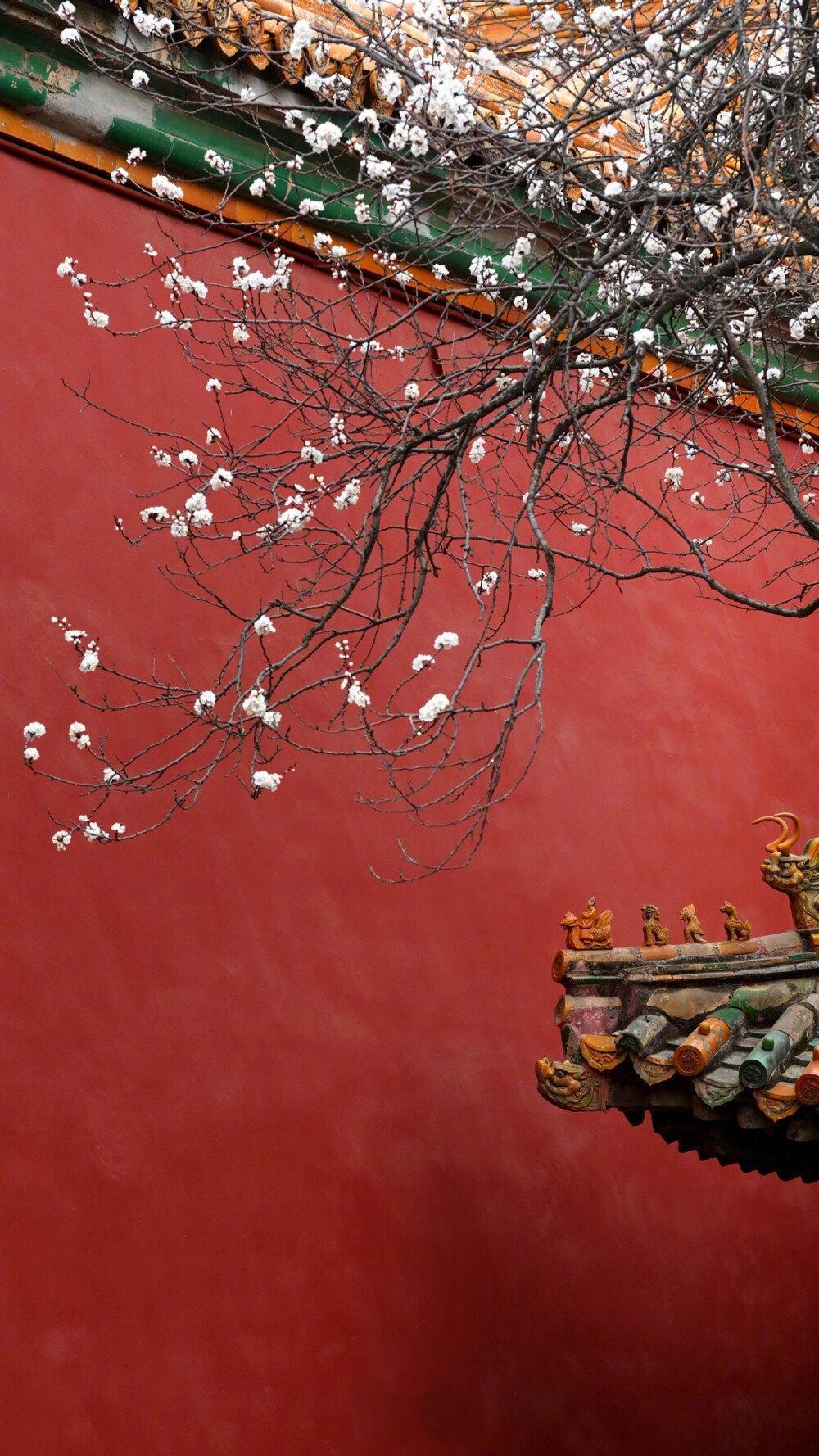 十一国庆节唯美紫禁城简约大气摄影