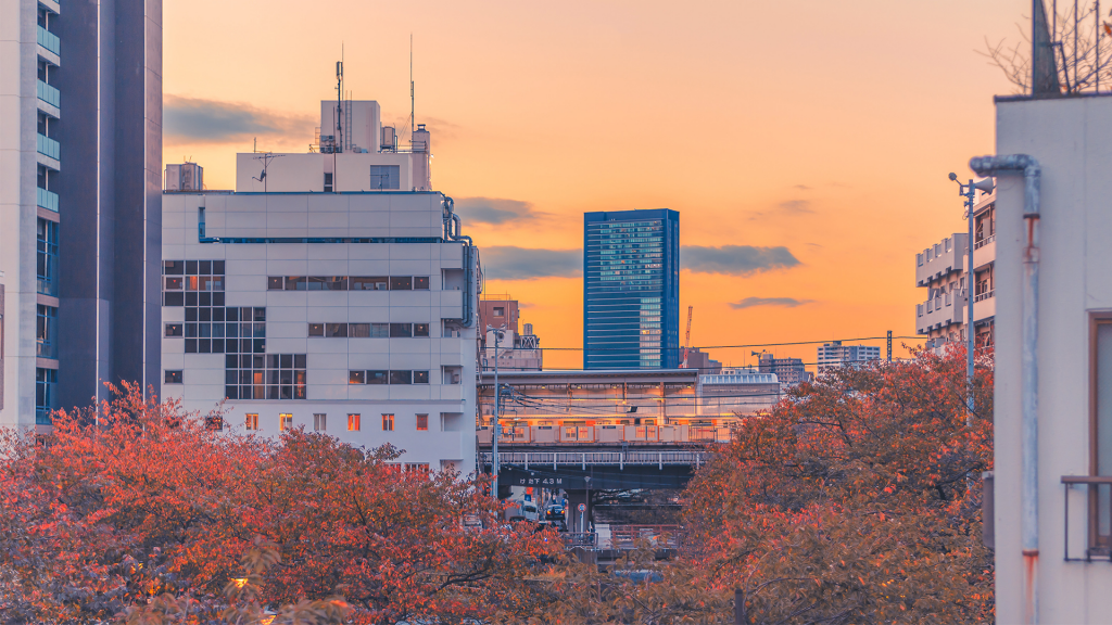 城市唯美清新风景