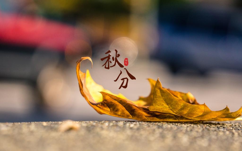 凉凉秋分送关怀