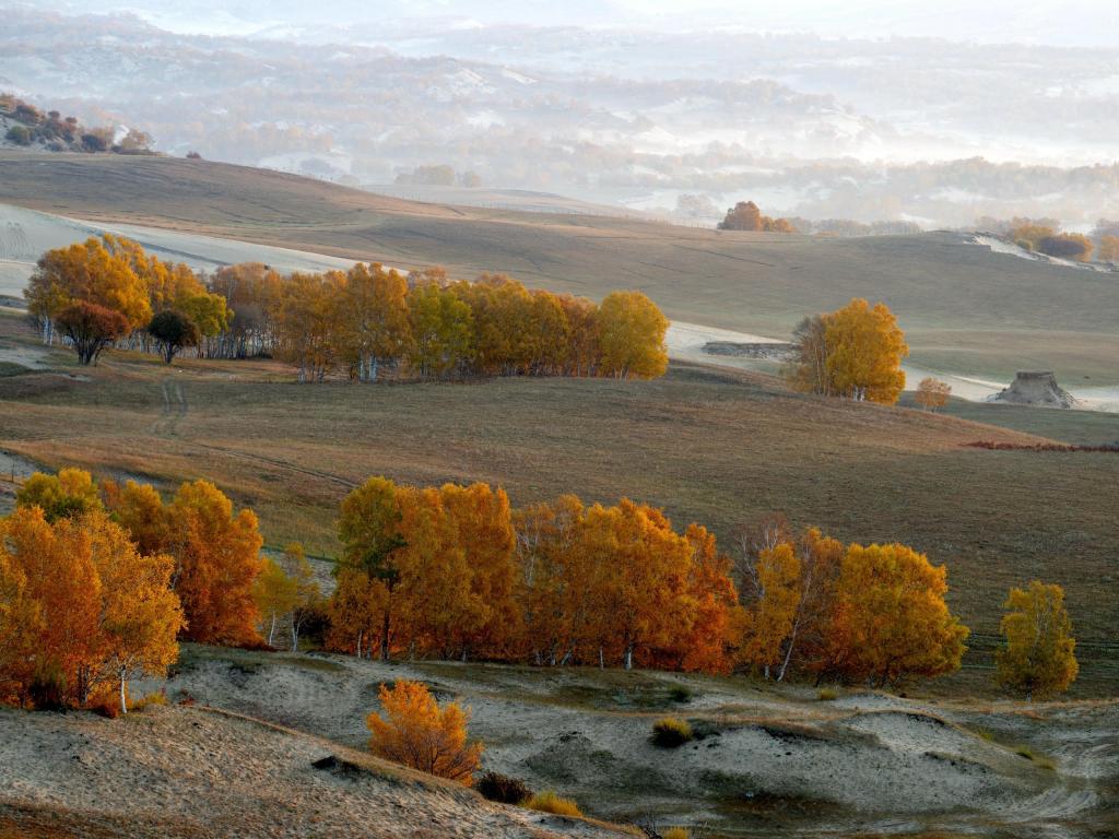 坝上草原迷人仙境风光