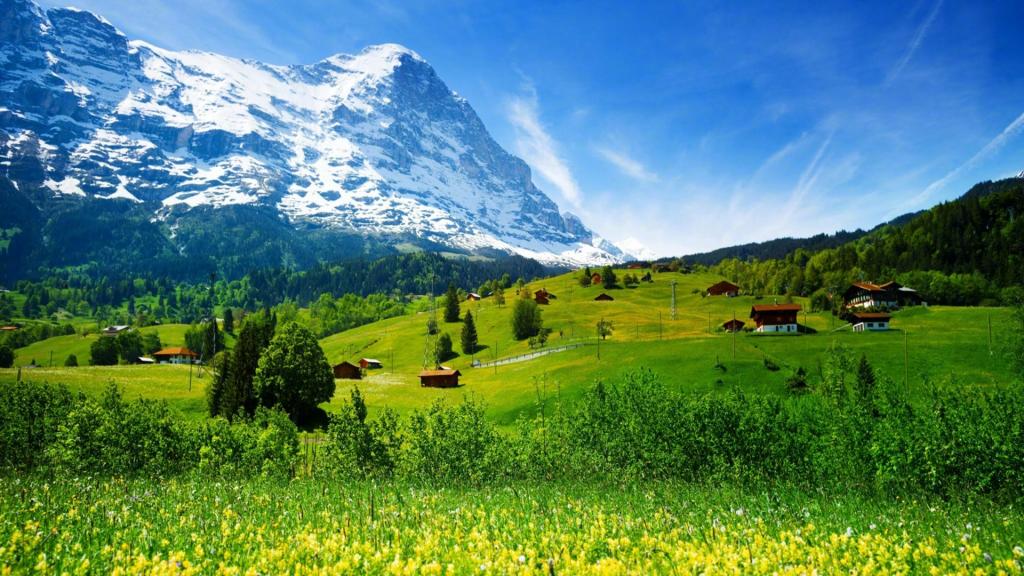 风景如画的大自然