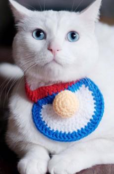 可爱萌宠喵星人-6