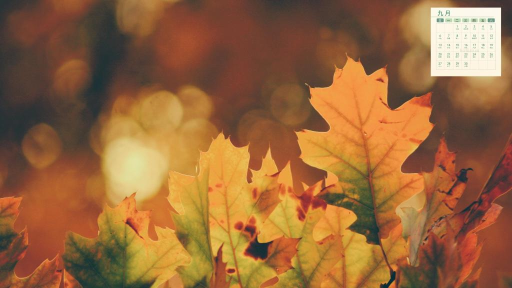2019年9月秋天落叶美景日历