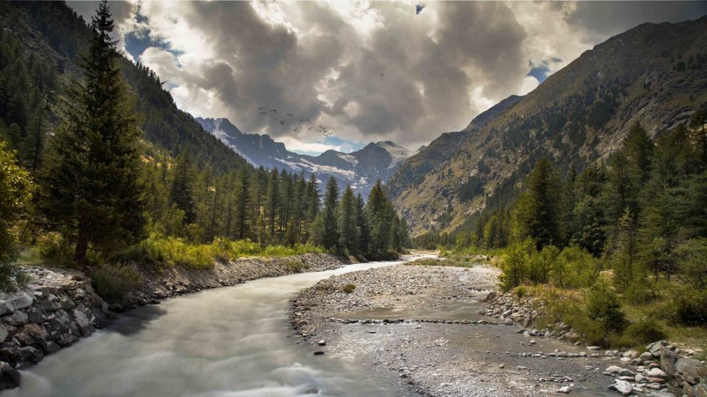 绿色护眼自然美景