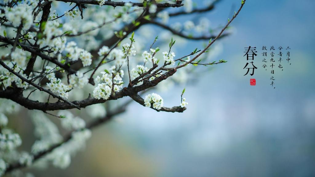 美丽的春分时节到来