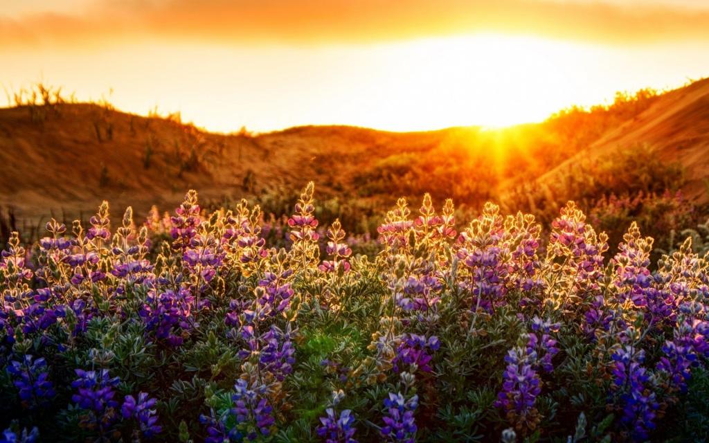 摄影海边唯美夕阳落日美丽风景