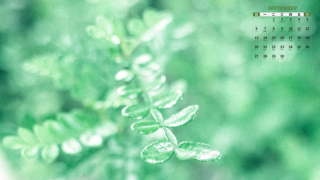 2020年9月小清新风光日历