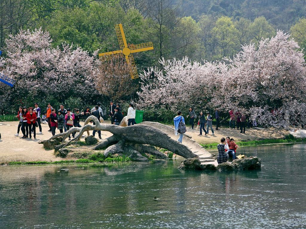 太子湾公园风光