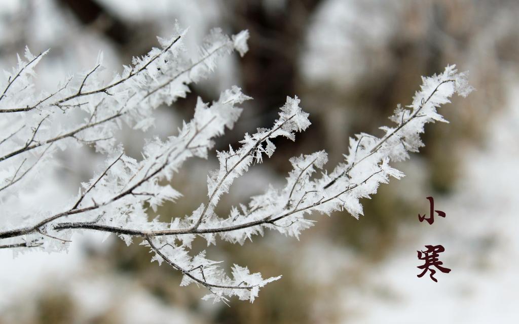 节气小寒的雪景