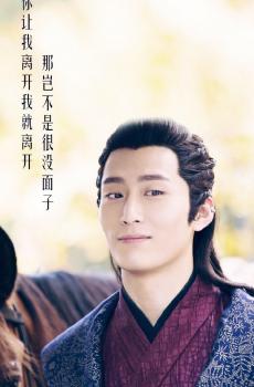 特工皇妃楚乔传燕洵-2