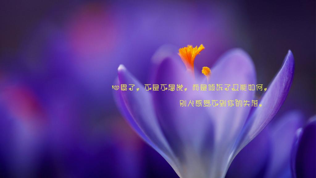 一个人心很累的文艺伤感句子图片