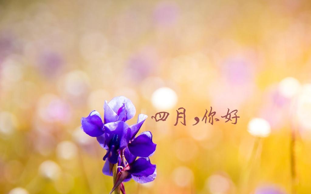 四月你好一句话说说配图