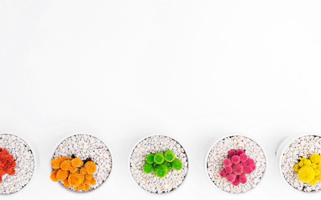 充满艺术感的小仙人掌摆设