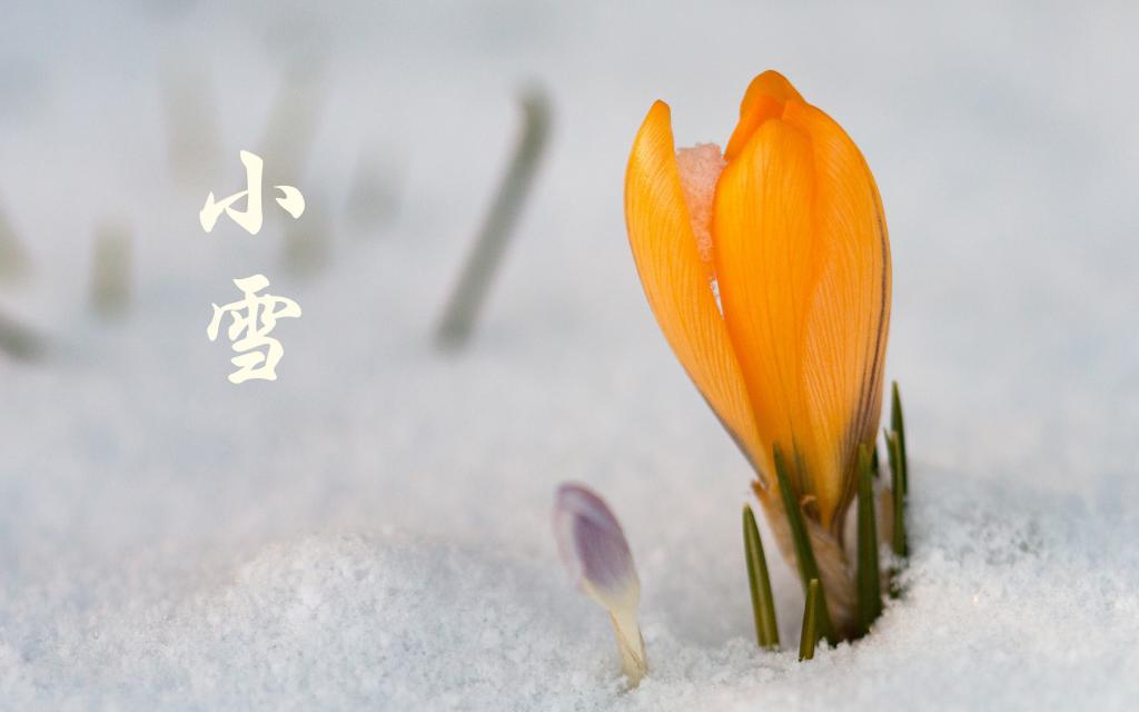 二十四节气之小雪