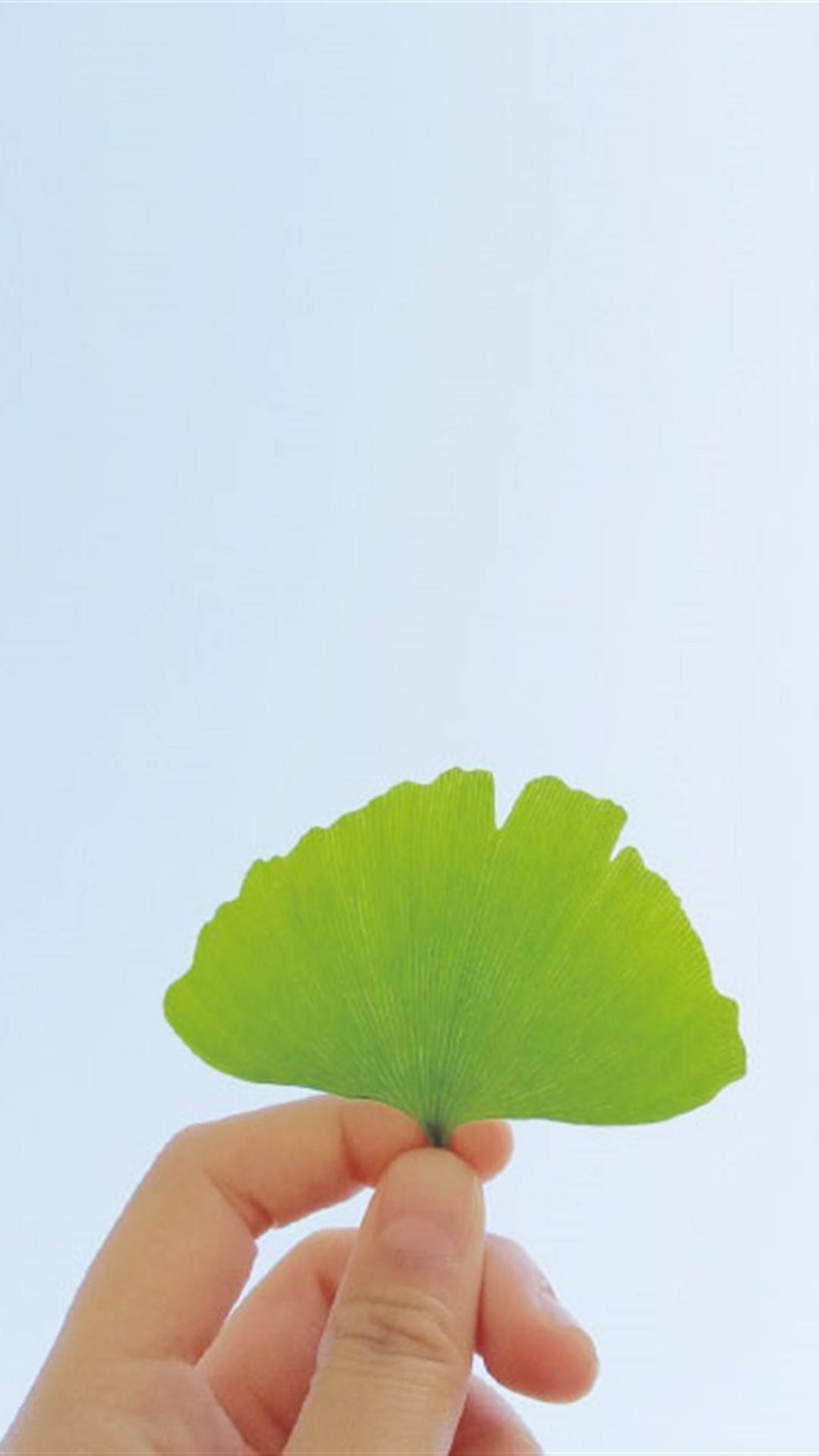 绿色植物护眼锁屏