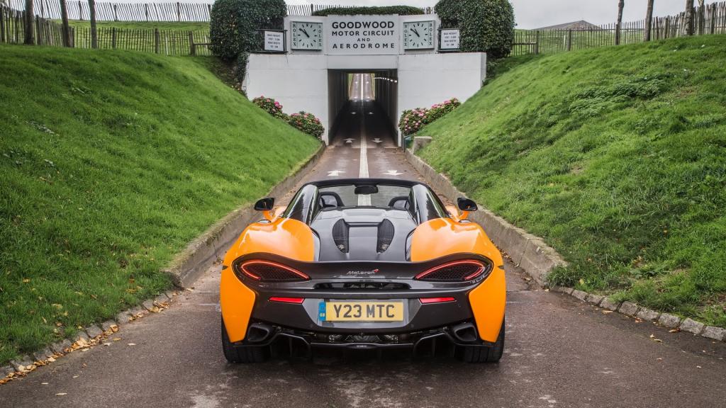 迈凯伦The Tour汽车图片