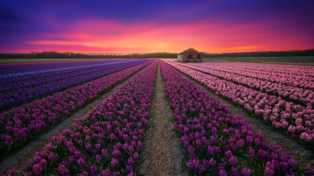 2018年唯美自然风景