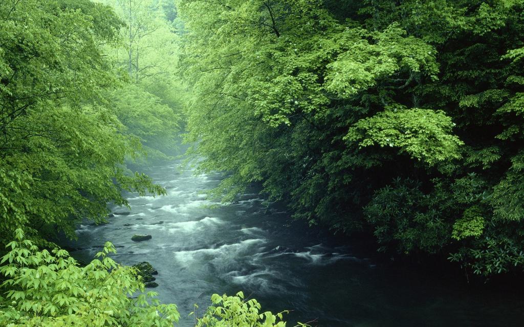 心中的大自然美景