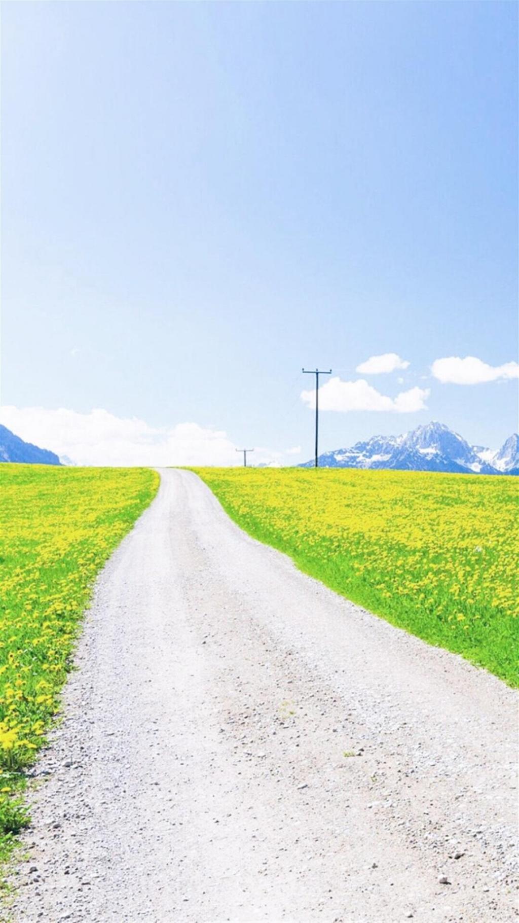 夏日小清新风景