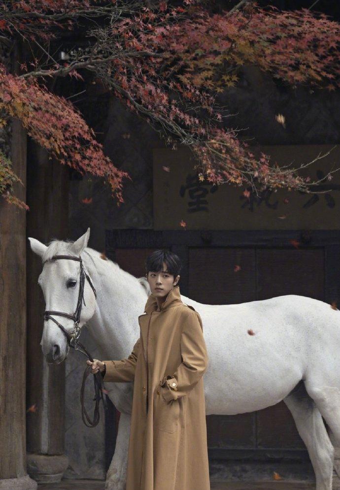 肖战白马骑士造型风衣写真