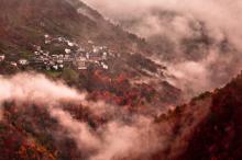 秋意浓浓的深秋风景