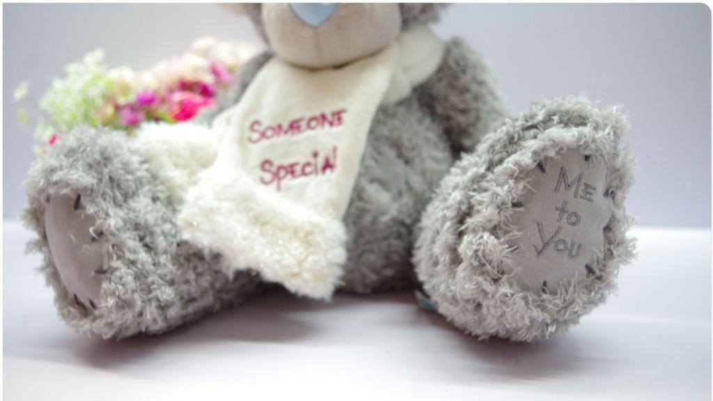 可爱的泰迪熊公仔