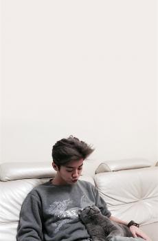 鹿晗与大灰小黄的喵生活-6