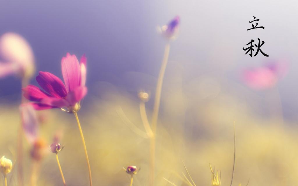 再见大暑,立秋你好