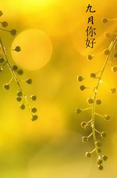 遇见九月