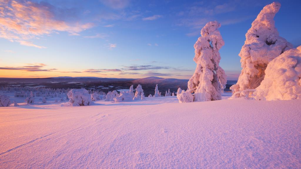 森林唯美雪地雪景