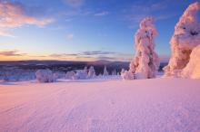大雪纷飞的森林