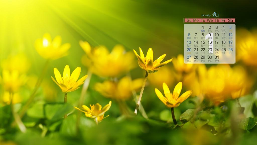 2019年1月满眼皆绿意日历