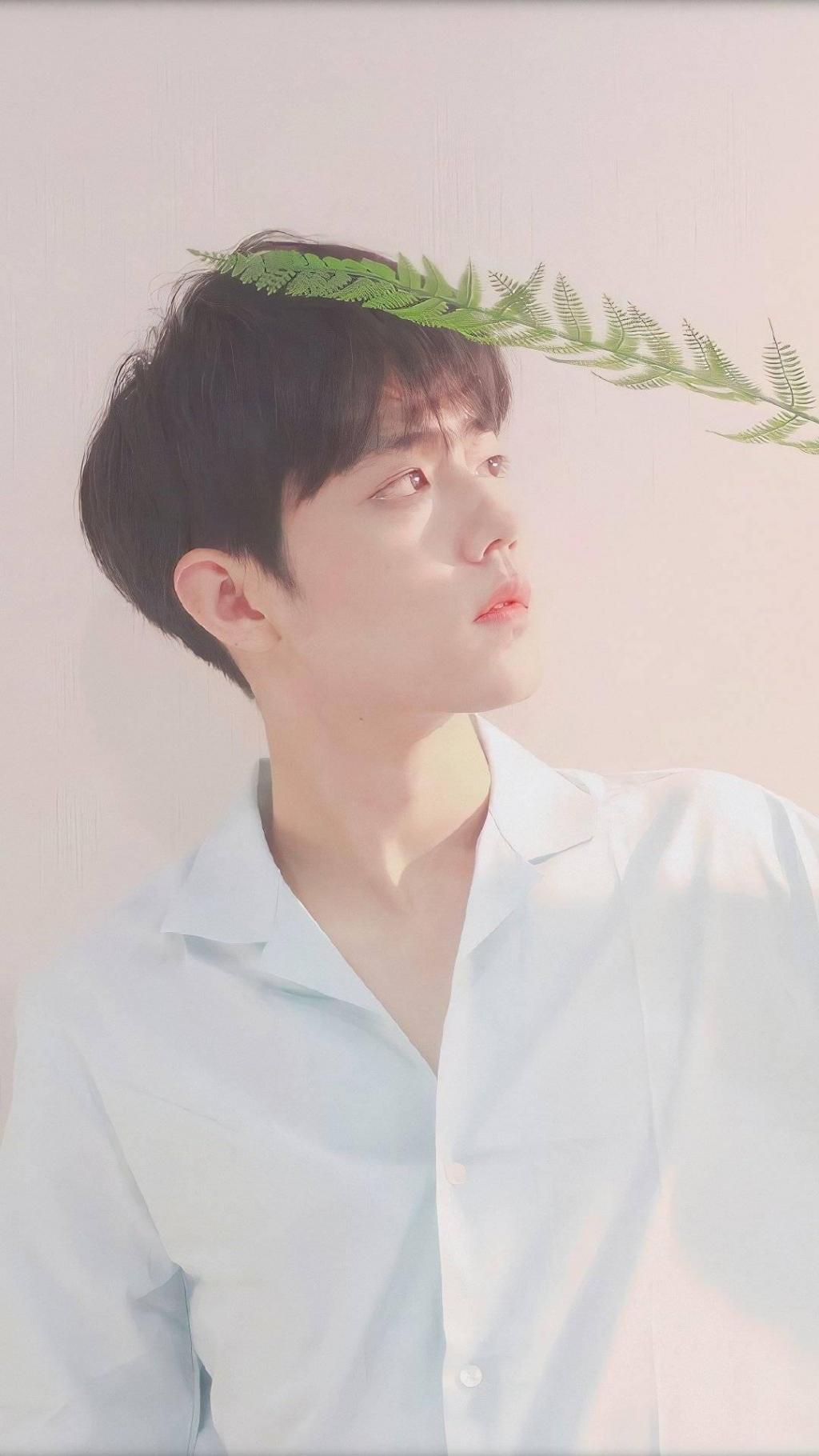 肖战爱不会被隔离