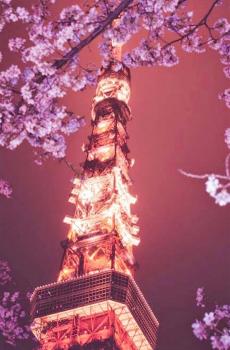 唯美埃菲尔铁塔