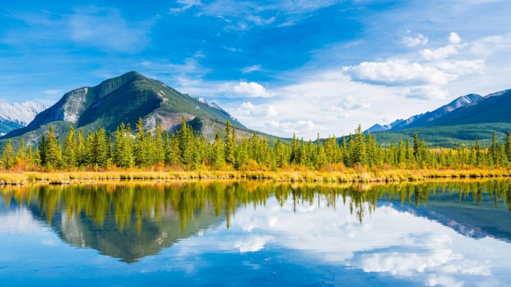 风景如画的大自然