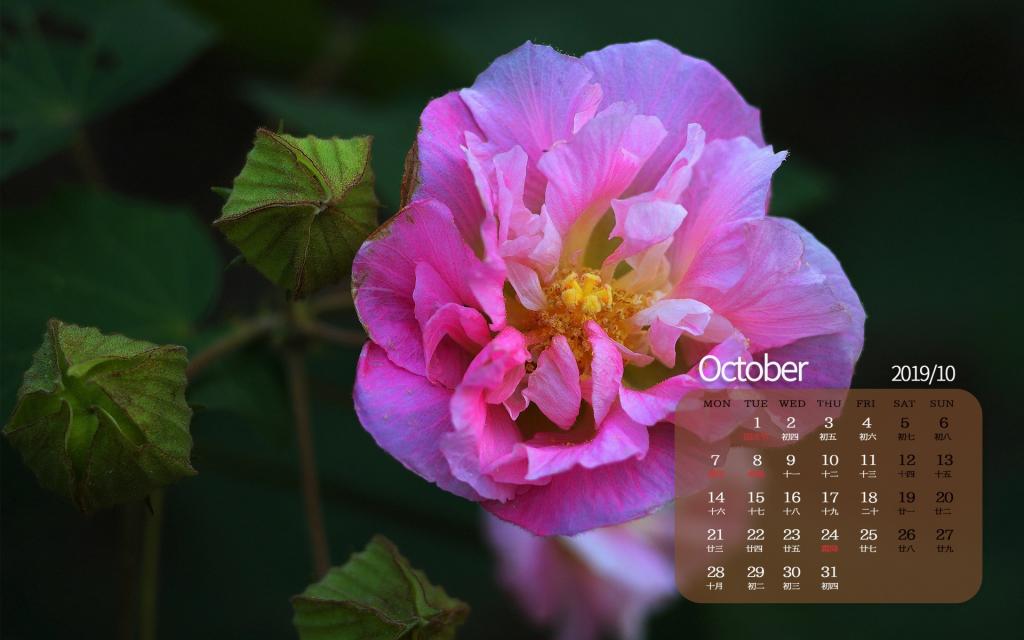 2019年10月纯洁寓意的芙蓉日历