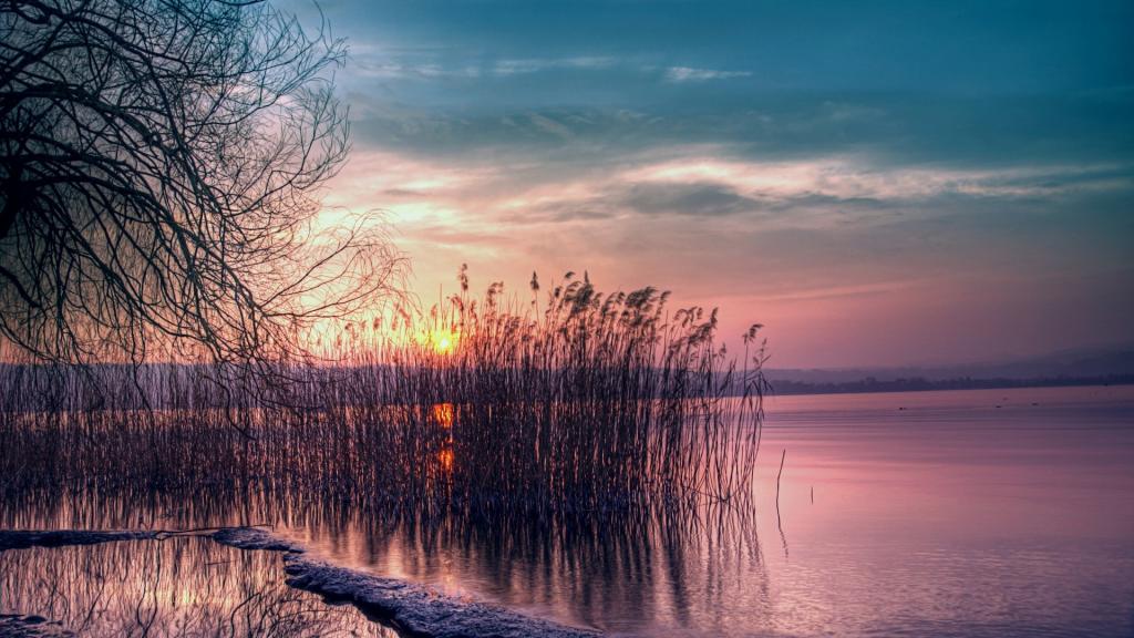 清新护眼的风景