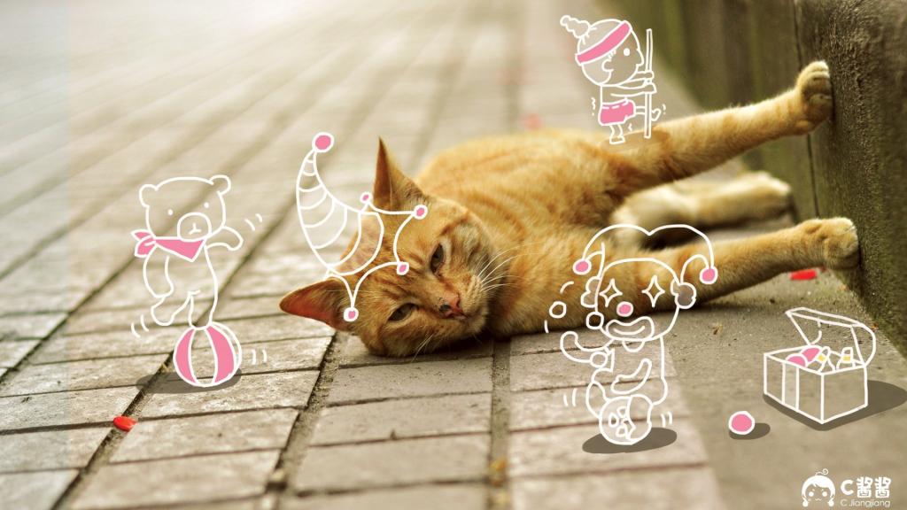 恶搞喵星人(猫咪)