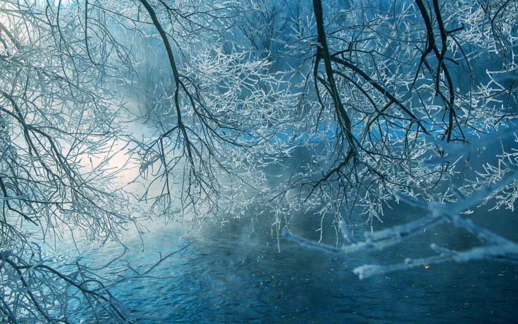 我的家乡有雾凇